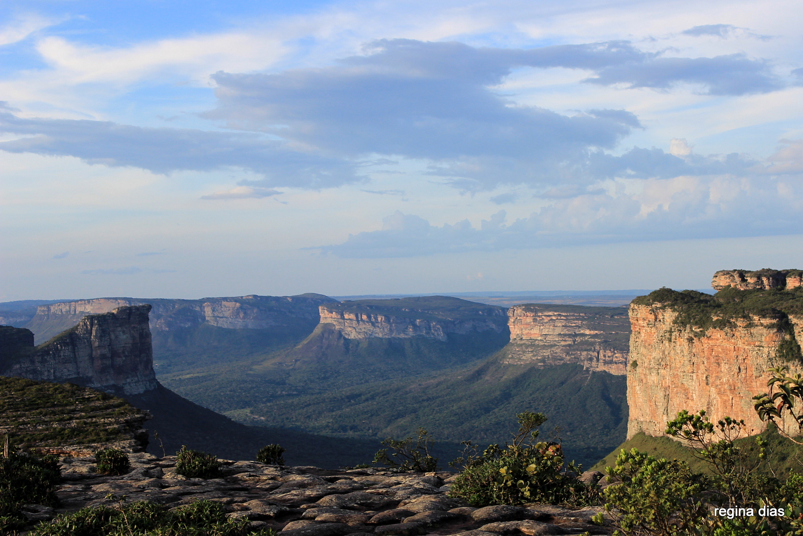 Chapada Diamantina por Regina Dias