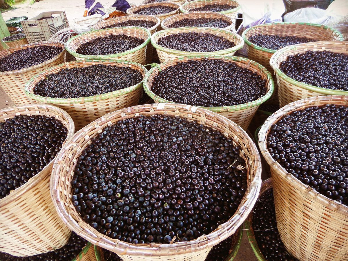 Açaí in Brazil: Benefits, regional differences and how to order it ...